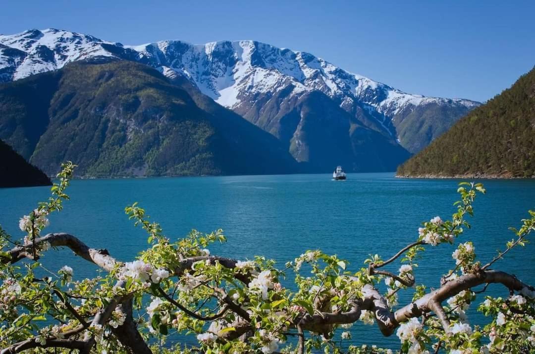 Nedre Amla Fjord Apartment Kaupanger Esterno foto